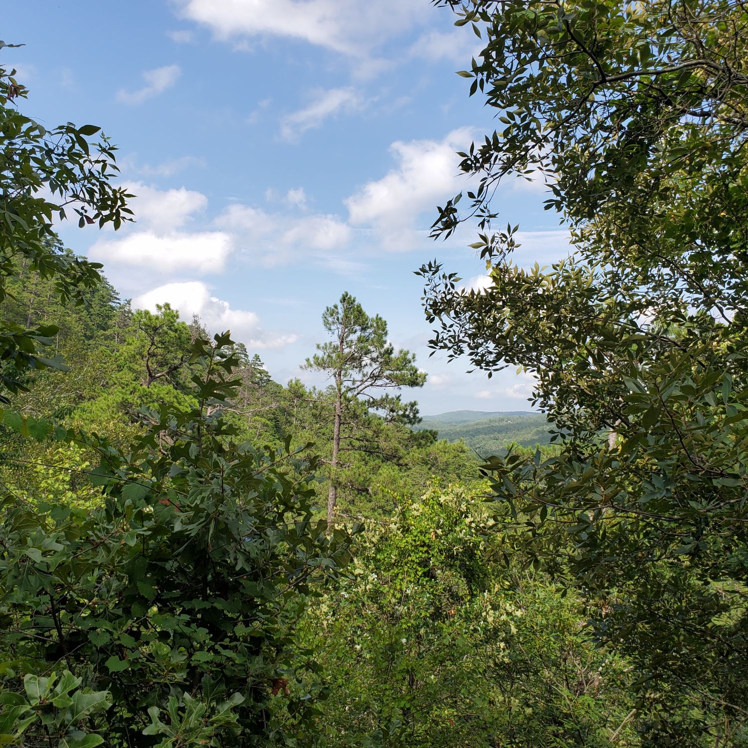 Hot Springs National Park 